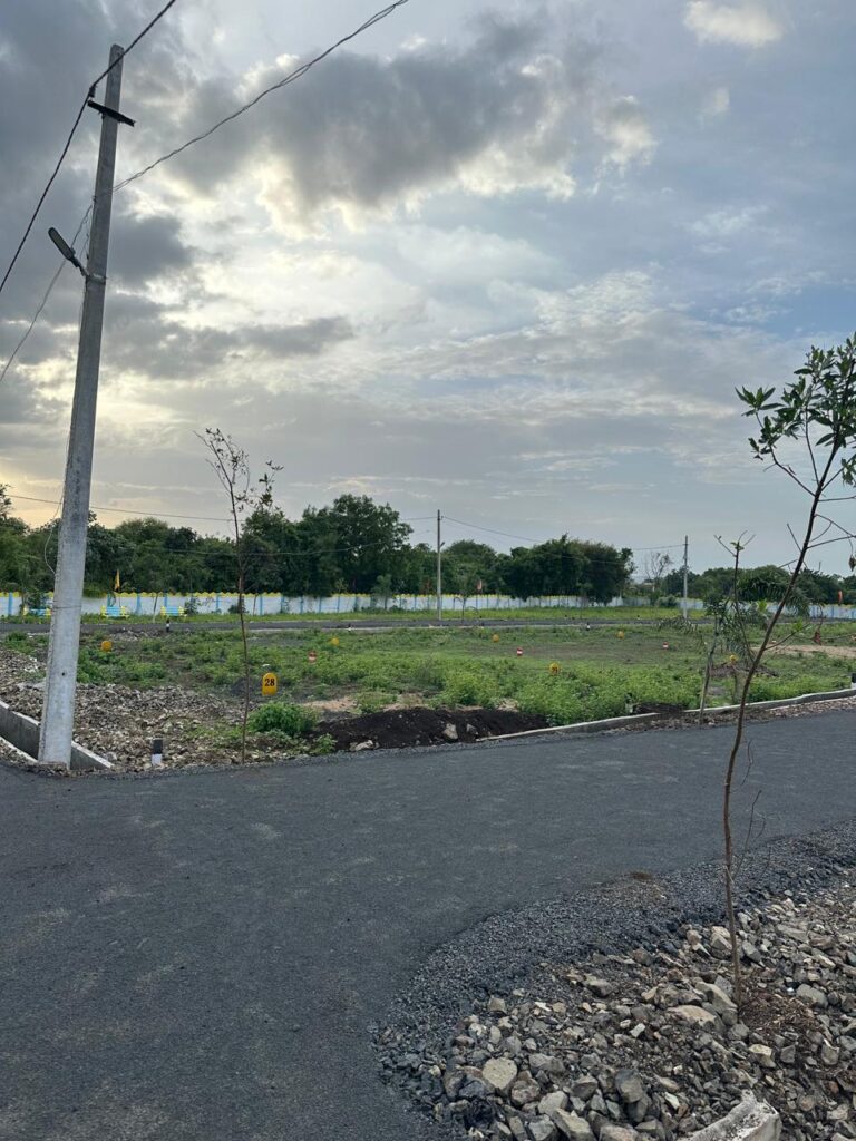 img 20241223 wa0069 1 768x1024